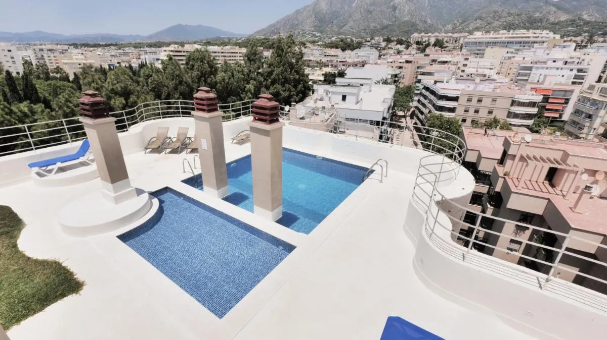 Image 3 of El Árbol – Rooftop Pool – Puerto Deportivo