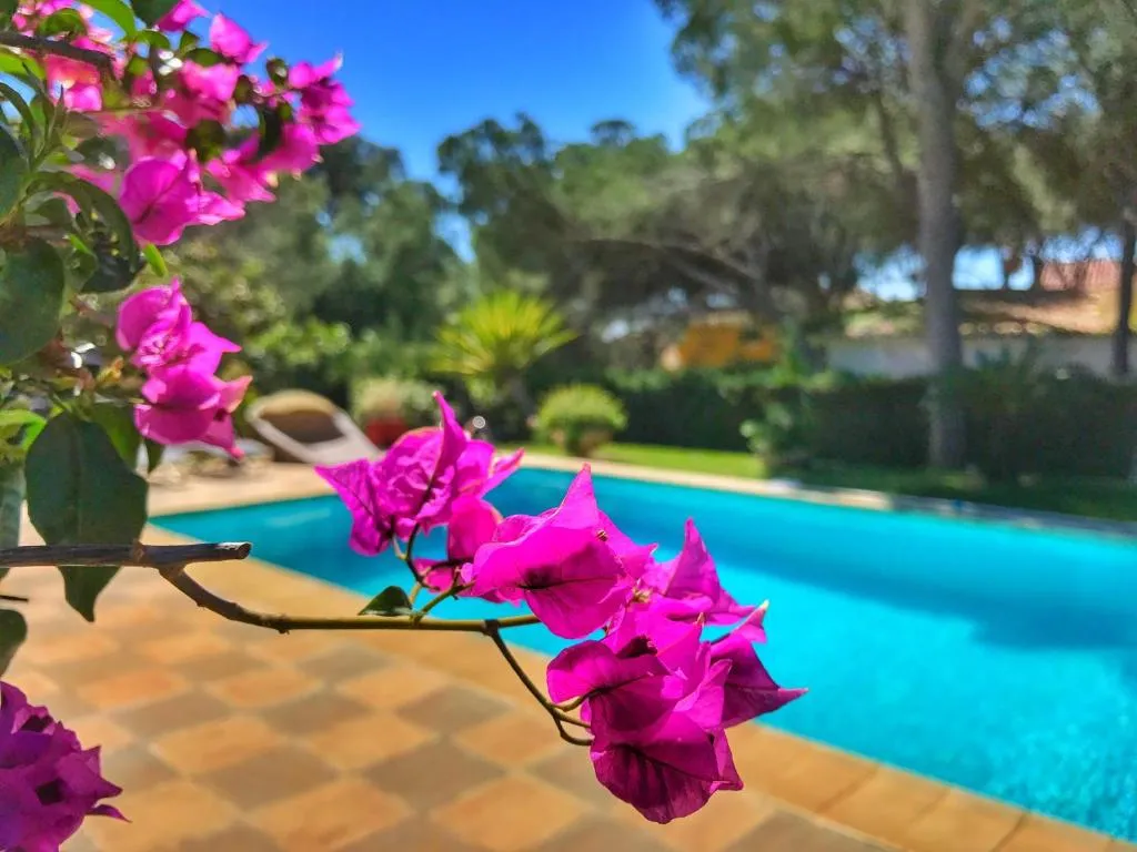 Image of El Nácar Bed & Breakfast