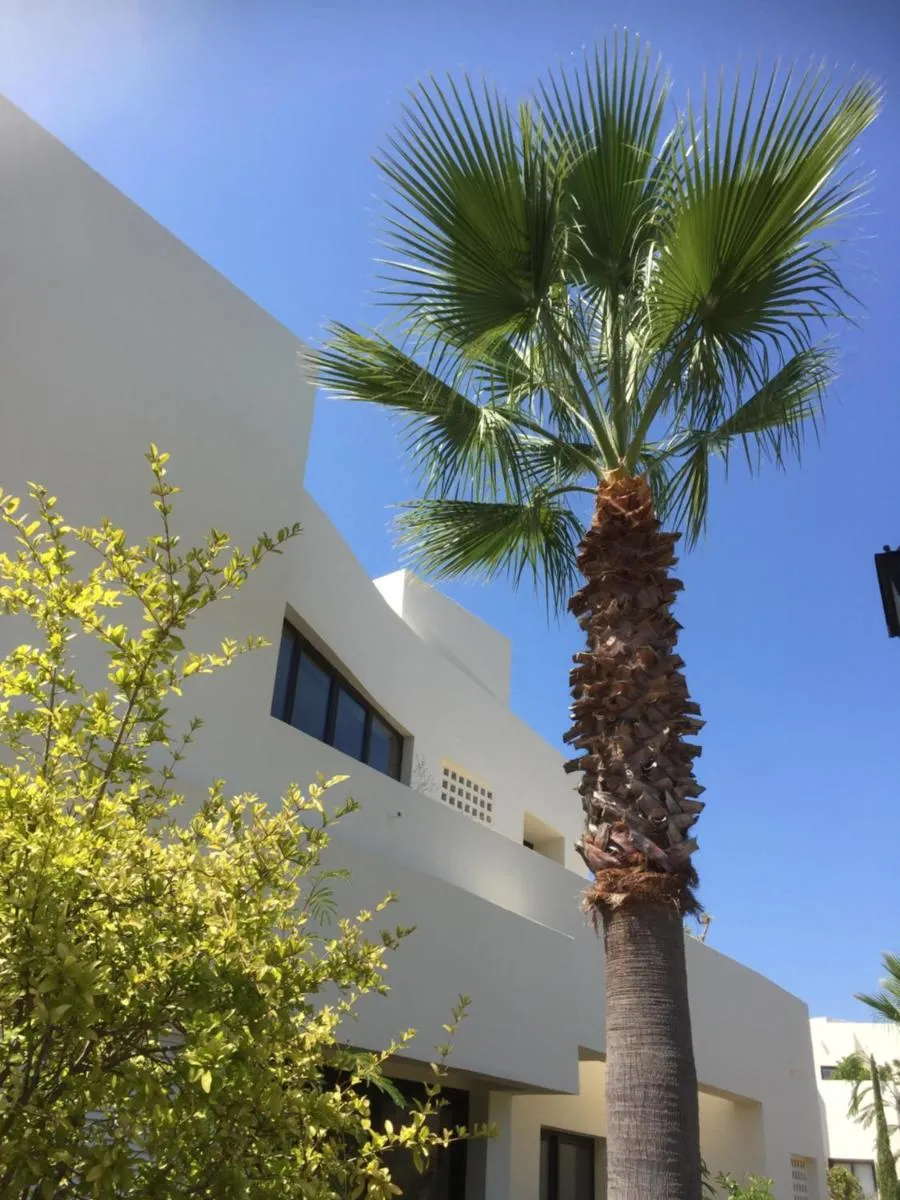 Image 6 of Luxury Penthouse near Marbella