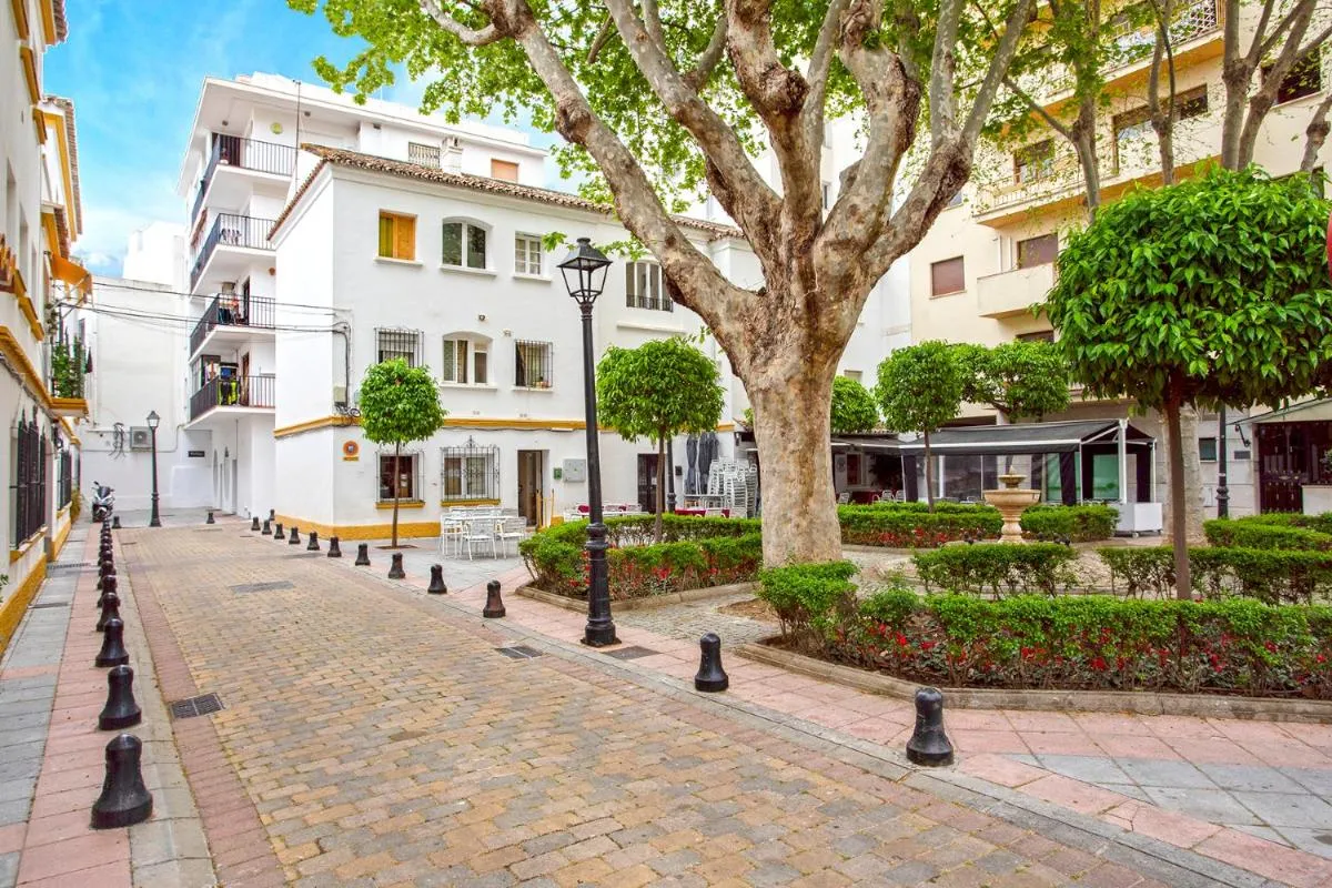 Image 4 of Rosa Marbella