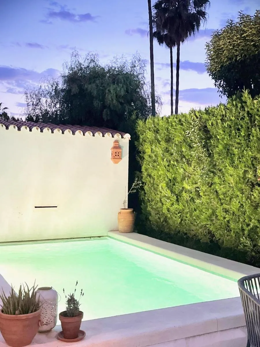 Image 5 of Vibrant Vacation San Pedro Oasis