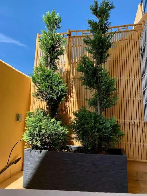 Image 5 of 5* Serviced Apartment Marbella