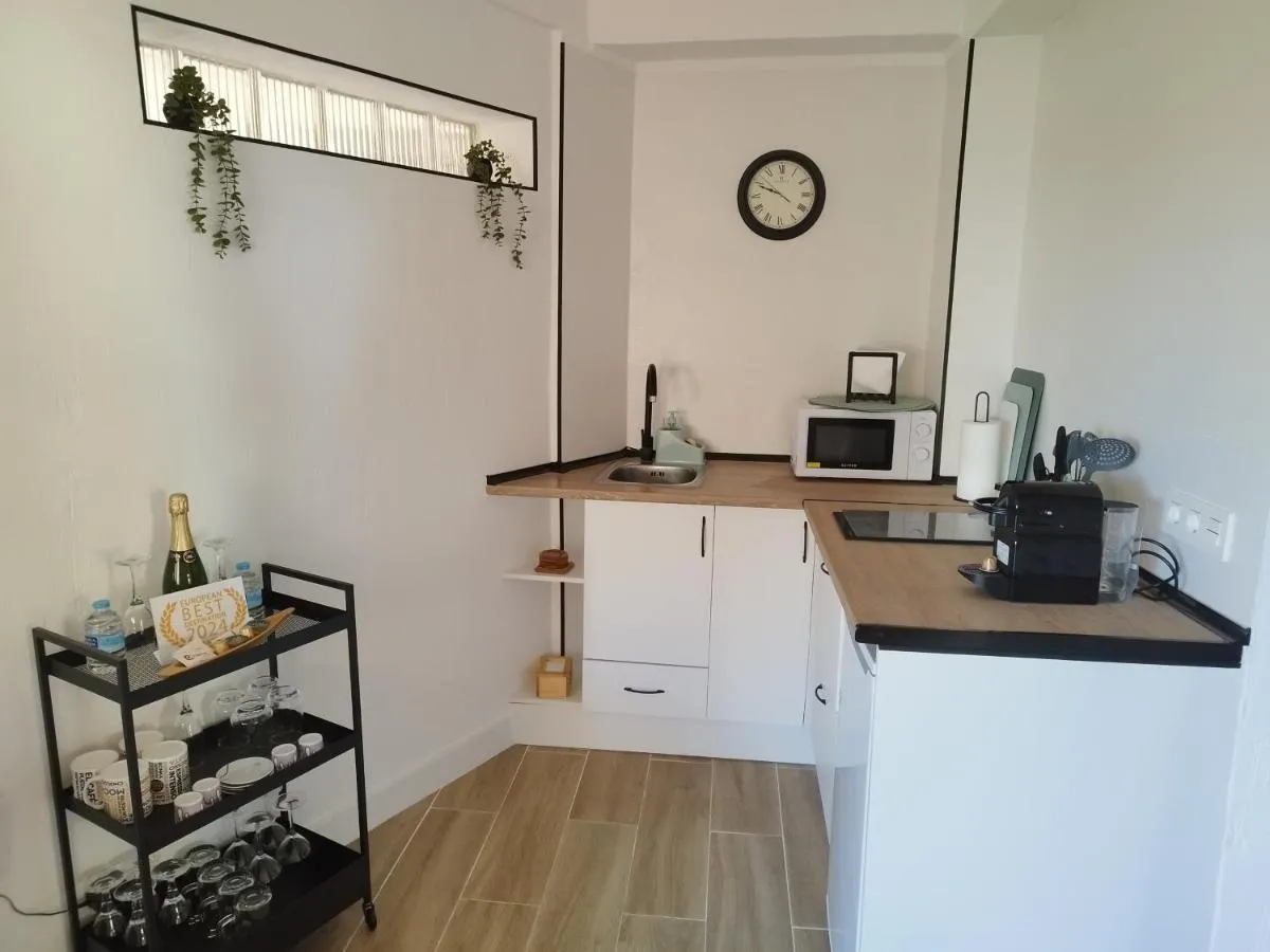 Image 2 of Amazing front sea view studio. Marbella Centre