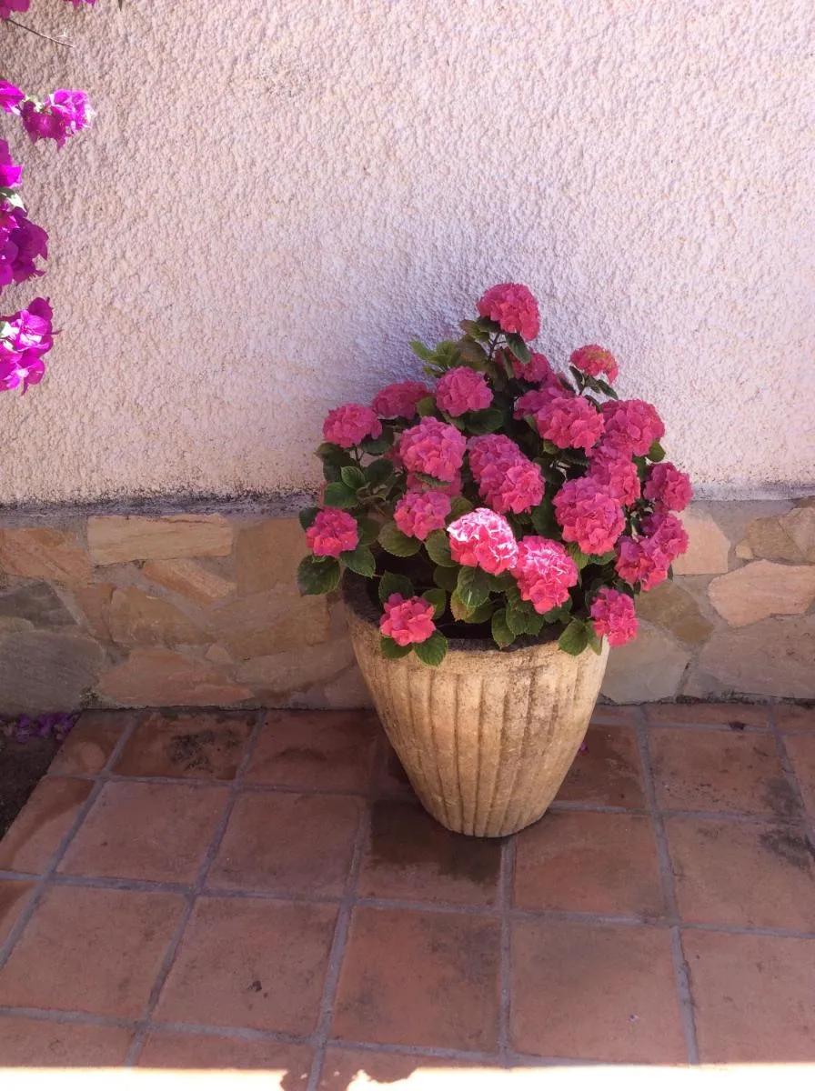 Image 6 of Apartamentos y Habitaciones KAI MARBELLA