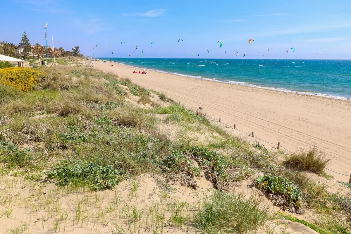 Image 5 of Beachfront luxury – Los Monteros Palm Beach