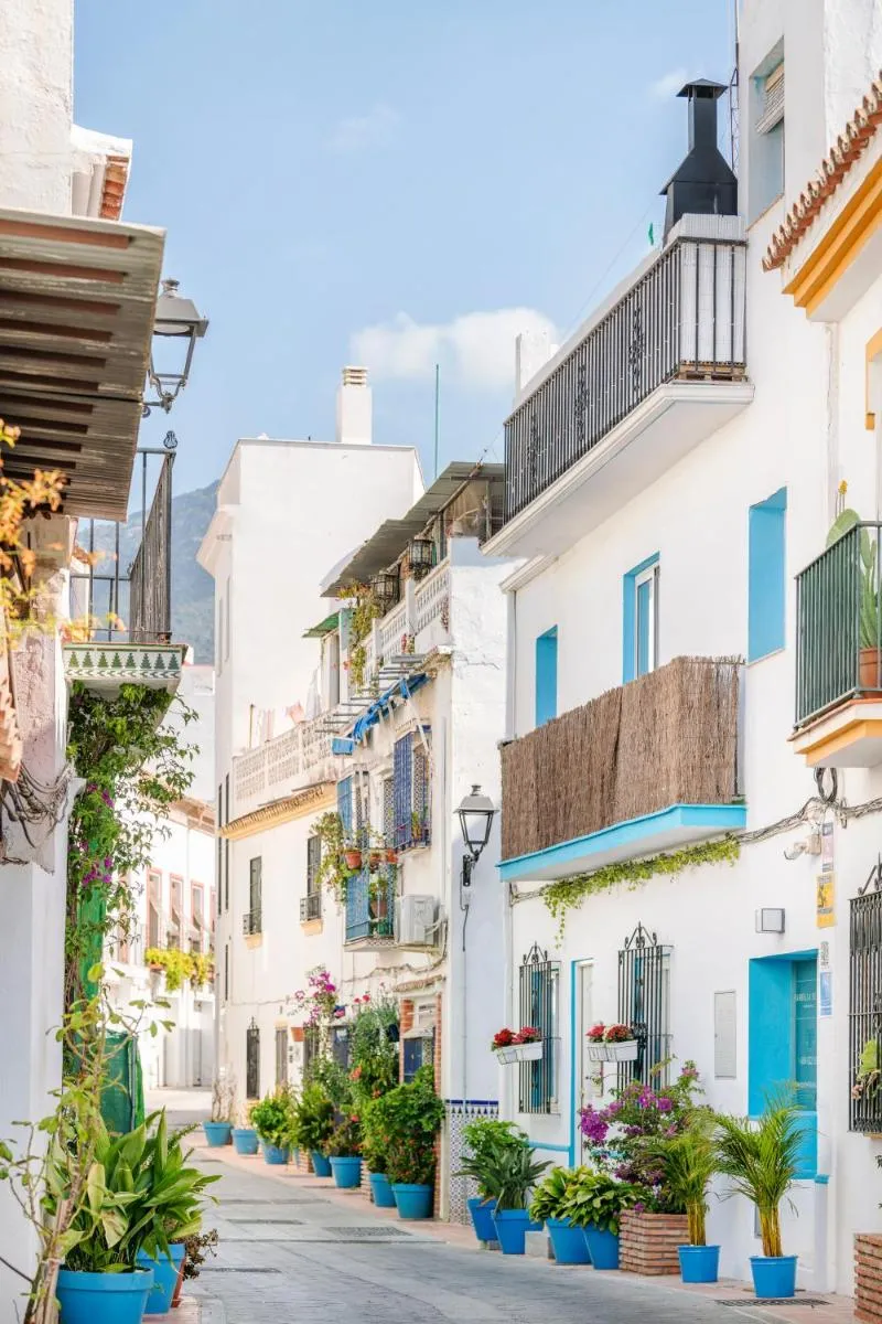 Image 3 of Bella Marbella