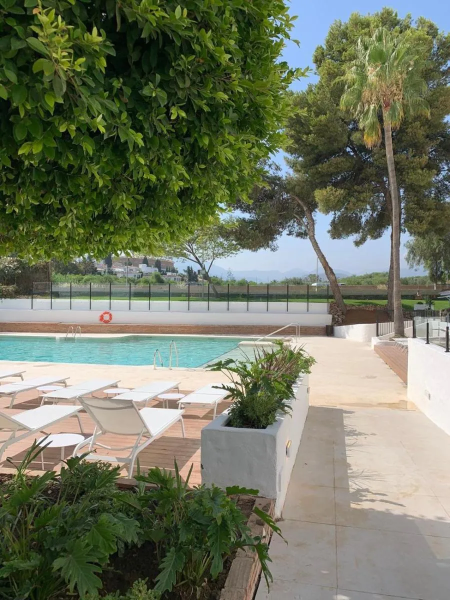 Image 4 of Bright & Cozy studio in the center of Puerto Banus, pool and terrace.