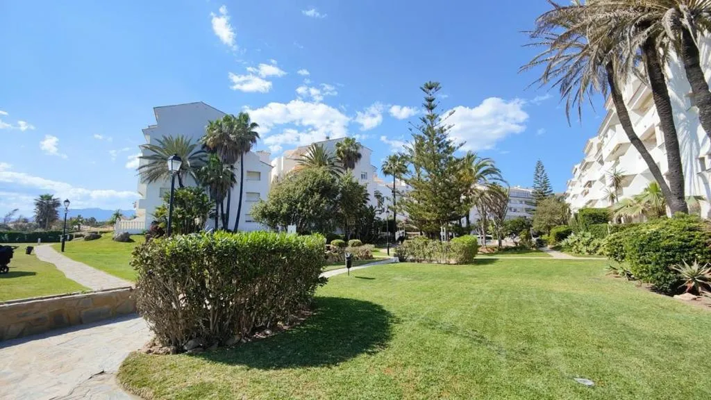 Image 6 of Estrelicia III