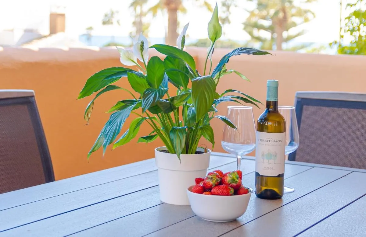 Image 4 of Fantastic Apartment 80m from the Beach!