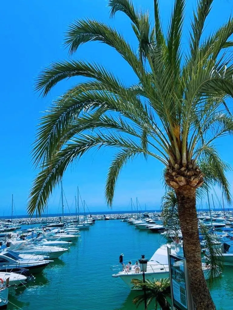 Image 3 of First Line Puerto Banus Harbour, 3 bedroom Luxury Apartment, Marbella
