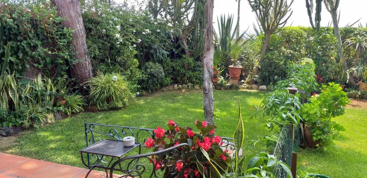 Image 4 of Garden Cottage at Casa Madden