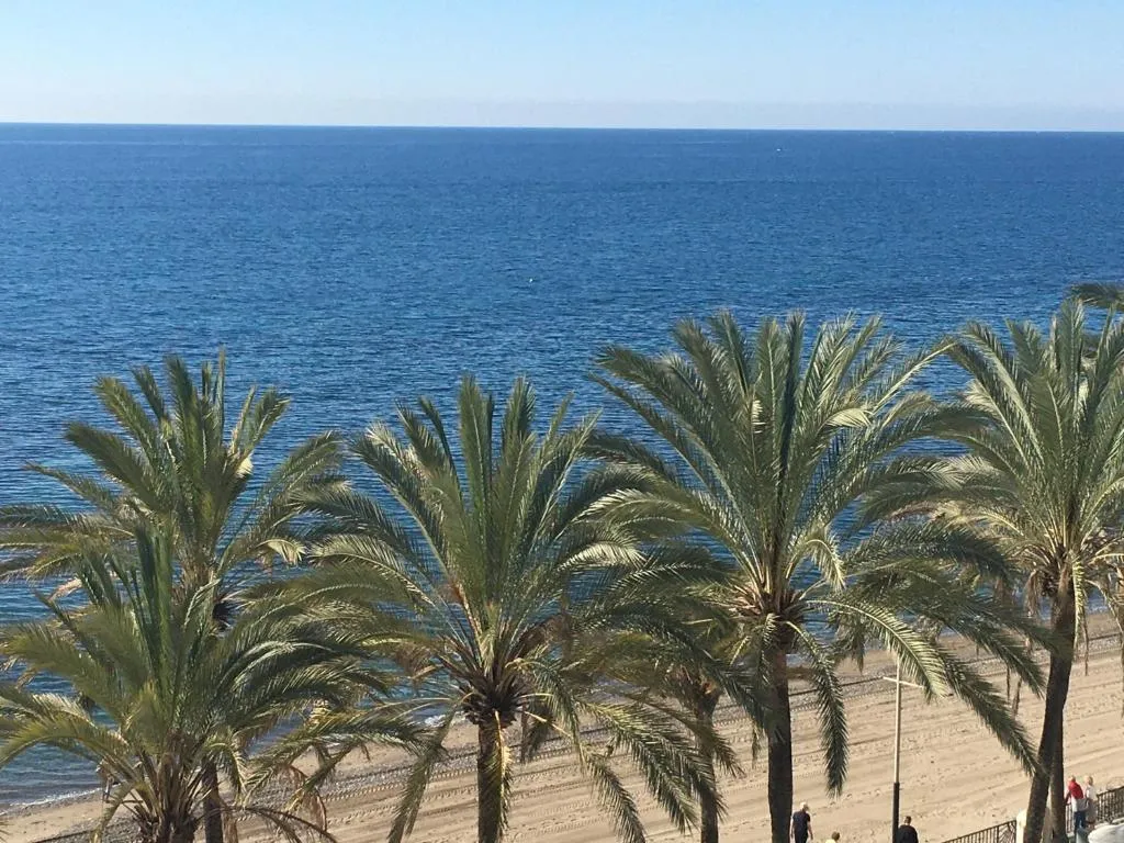 Image of Las Palmas 3