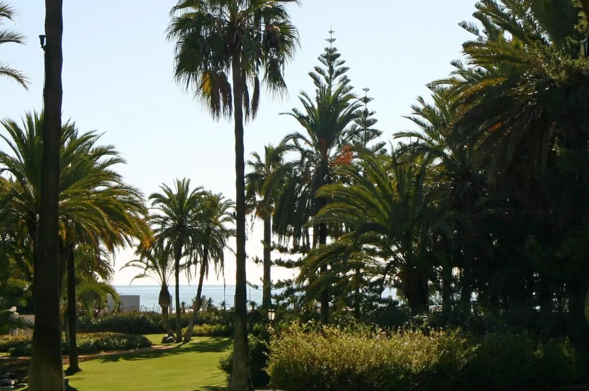 Image 6 of Marbella Apartamentos SL