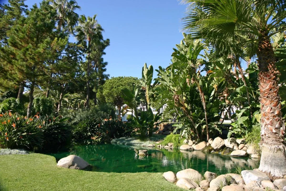 Image 5 of Marbella Apartamentos SL