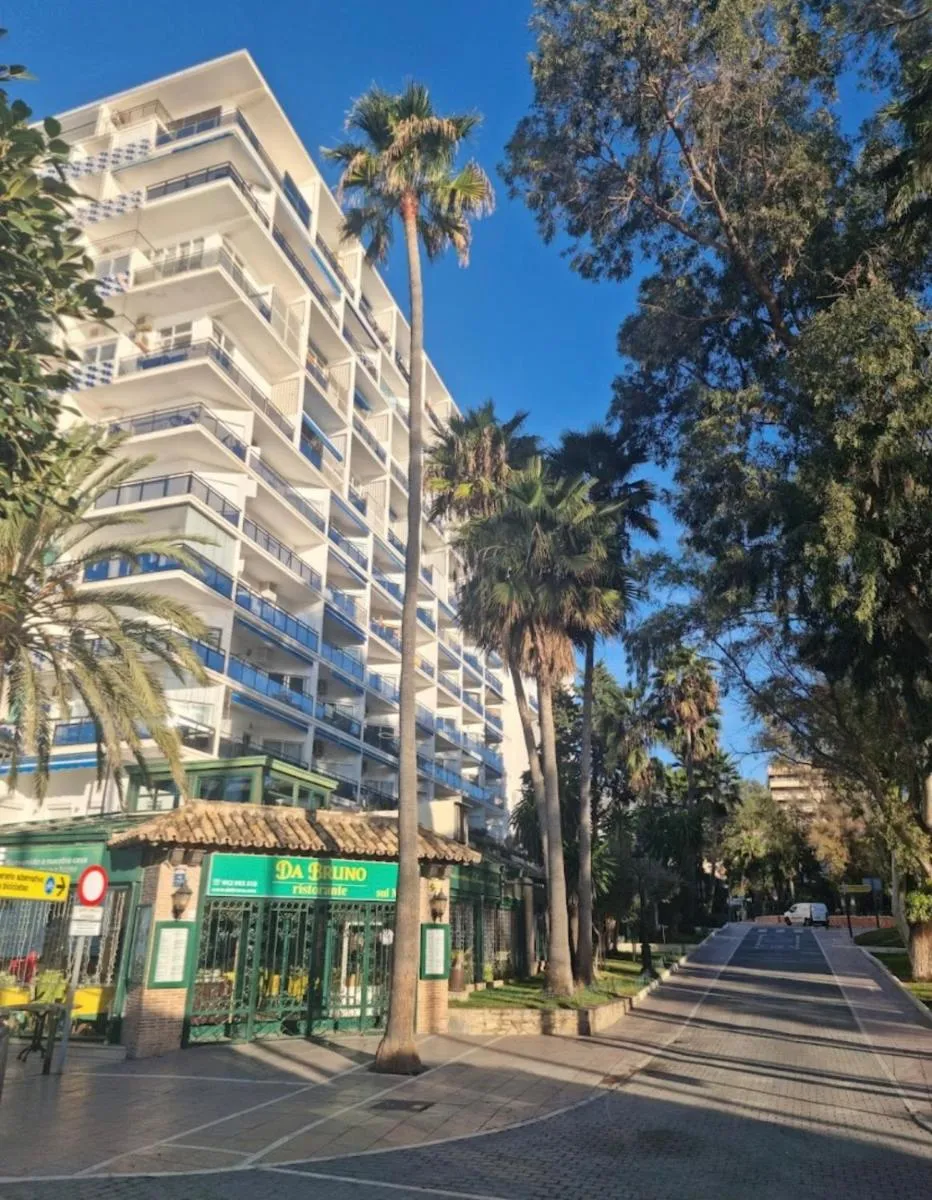 Image 4 of Marbella Skol
