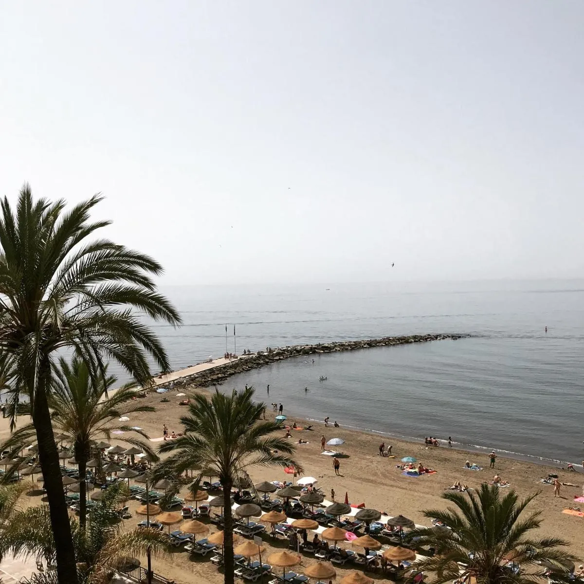 Image 4 of Neptuno Beachfront Apartments