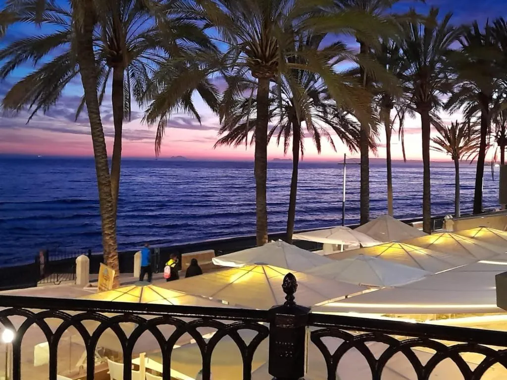 Image of PALM BEACH SUNSET