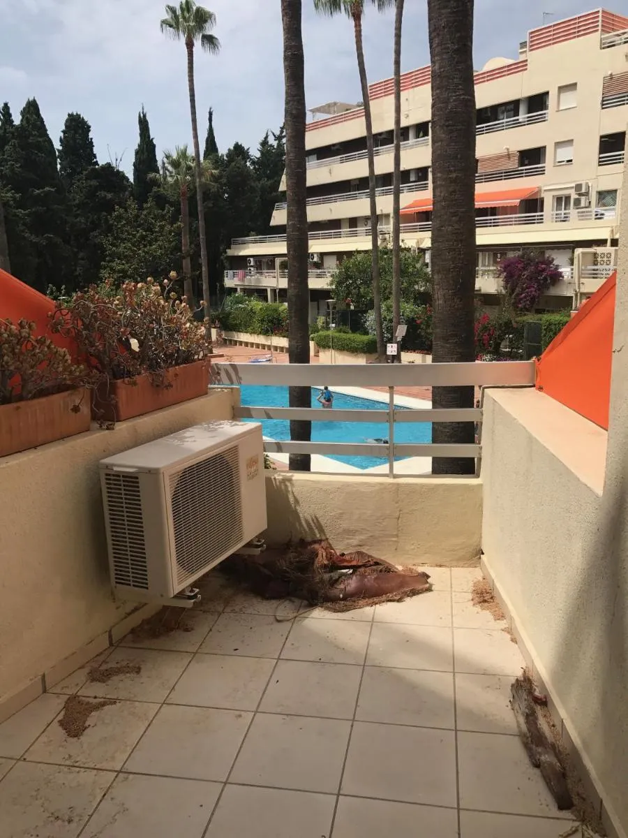 Image 5 of Parque Marbella