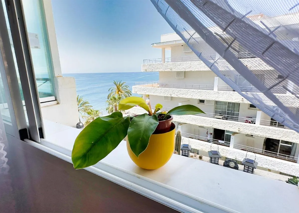 Image 6 of Skol 438 Super One-bedroom Apartment with Sea Views