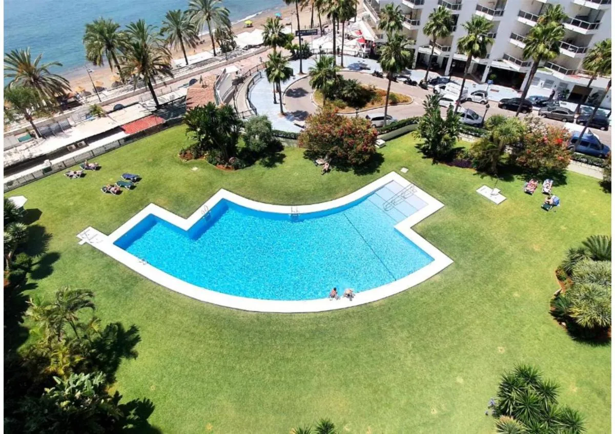 Image 3 of Urbanbeach Imperator