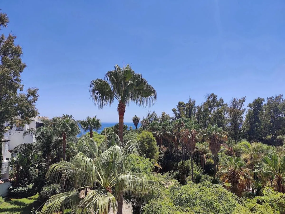 Image 4 of Ventura del Mar duplex Penthouse