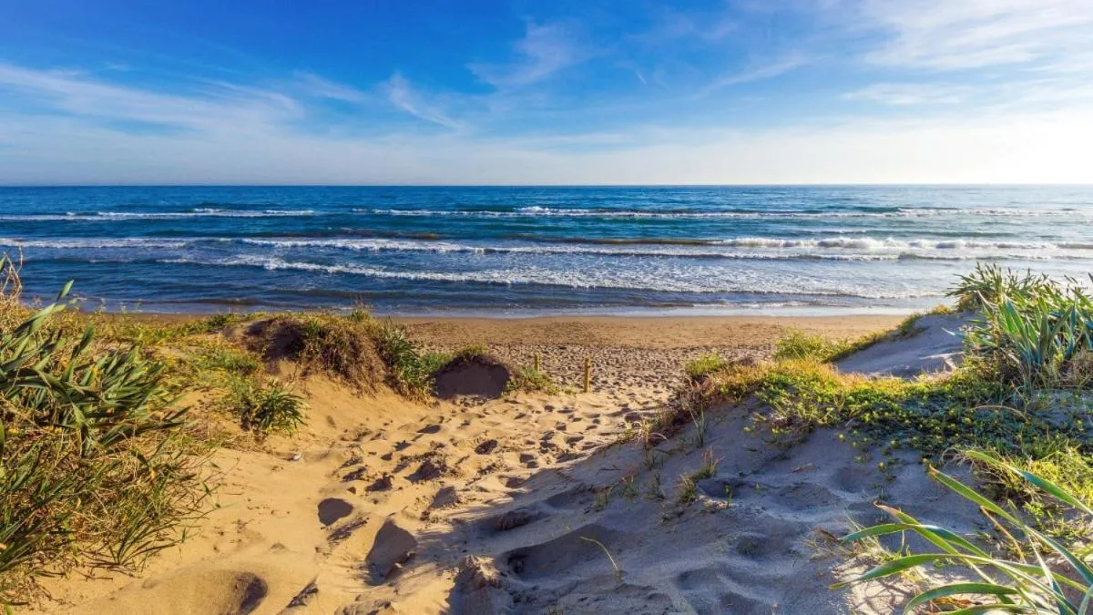 Image 5 of White Pearl Beach – Elviria Playa