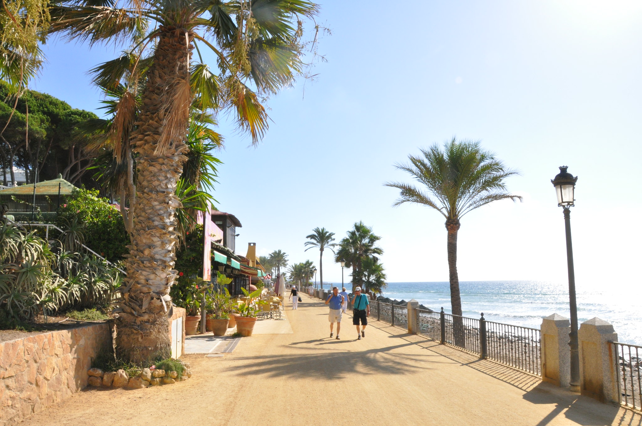 Puerto Banús 